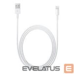 Kabelis Apple  MD819 - iPhone Cable 7/8/X (2m)