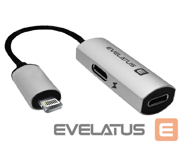 Adapteris Evelatus Lightning to Lightning-x2 V02 bulk package