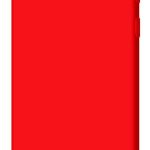 Nugarėlės dėklai Evelatus Samsung Galaxy S10 Premium Soft Touch Silicone Case Red