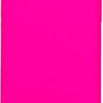 Nugarėlės dėklai Evelatus Apple iPhone XR Premium Soft Touch Silicone Case Hot Pink