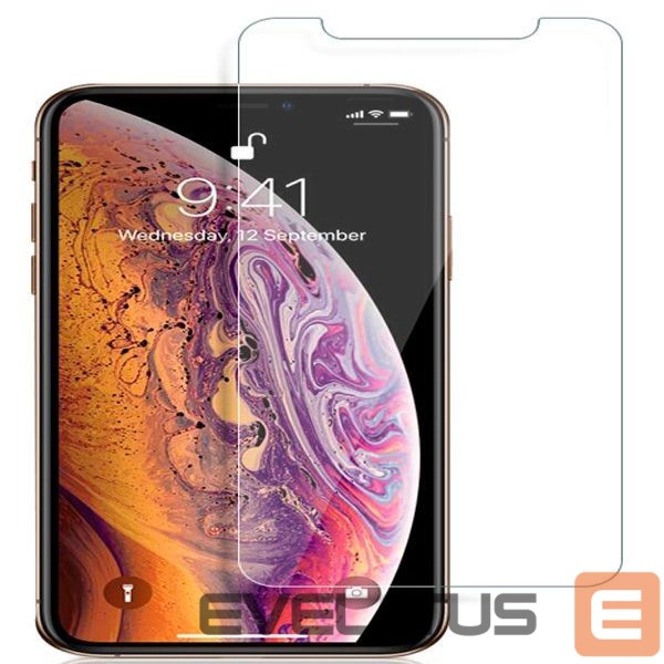 Apsauginiai stiklai Evelatus Apple iPhone XS Max/11 Pro Max 0.33 Flat Clear Glass Japan Glue Anti-Static