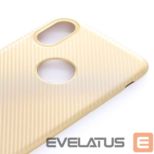 Nugarėlės dėklai Evelatus Apple iPhone X Carbon Gold