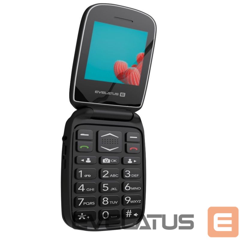 Mobilusis telefonas Evelatus WAVE 2020 DS (EW02BK) Graphite Black