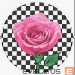 Universalus laikiklis (Popsocket) Popsockets  PT-SK8R GRL-BK 