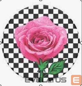 Universalus laikiklis (Popsocket) Popsockets  PT-SK8R GRL-BK 