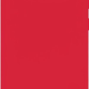 Nugarėlės dėklai Evelatus Samsung Galaxy S10 Nano Silicone Case Soft Touch TPU Red