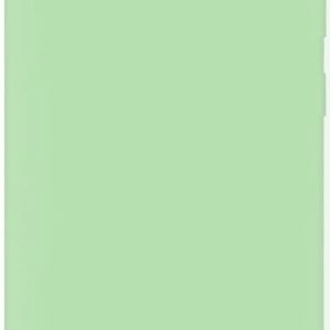Nugarėlės dėklai Evelatus Samsung Galaxy S10 Nano Silicone Case Soft Touch TPU Mint