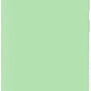 Nugarėlės dėklai Evelatus Samsung Galaxy S10+ Nano Silicone Case Soft Touch TPU Mint
