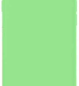Nugarėlės dėklai Evelatus Apple iPhone XR Nano Silicone Case Soft Touch TPU Mint