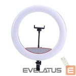 Selfie lazda Elight  SR14 36cm LED Light Ring with Smartphone holder + 220V Adapter + BT remote Black