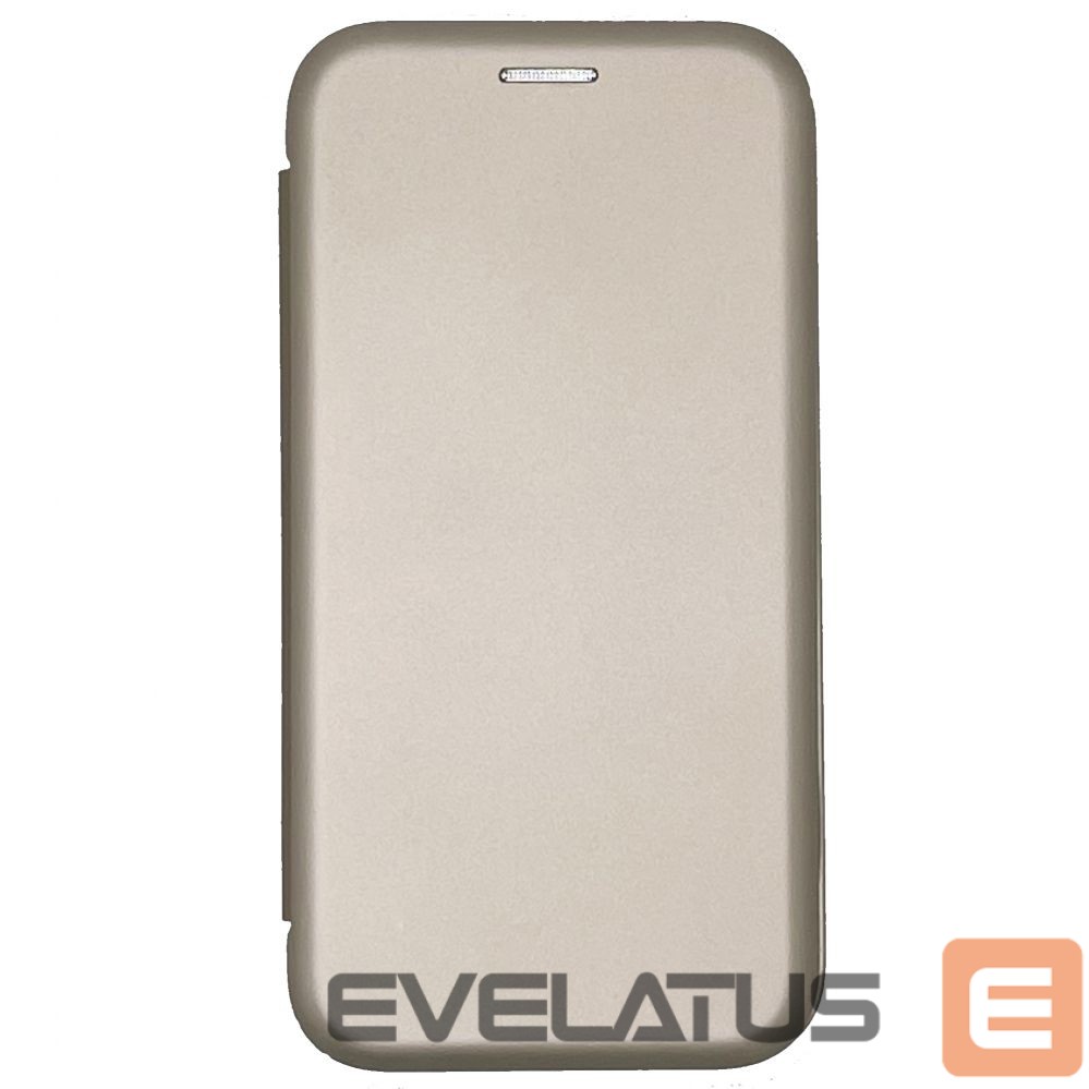Knygos tipo dėklas dėklai Evelatus Apple iPhone 13 Pro Max Book Case Gold