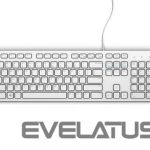 Kompiuterio klaviatūra Dell  KB216 Multimedia, Wired, EN, USB, White 