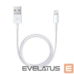 Kabelis Apple  Lightning to USB Cable 1m Model A1480