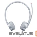 AMD procesoriaus pagrindinė plokštė Lenovo  Headset 100 Stereo Analogue Silver 