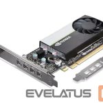 Vaizdo plokštės / Vaizdo plokštės Lenovo  Graphics Card   T1000 NVIDIA, 8 GB, T1000, GDDR6, PCIe 3.0 x 16 