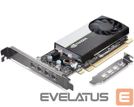 Vaizdo plokštės / Vaizdo plokštės Lenovo Graphics Card T1000 NVIDIA, 8 GB, T1000, GDDR6, PCIe 3.0 x 16