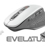 Kompiuterio pelė Trust  MOUSE USB OPTICAL WRL/OZAA WHITE 24035 