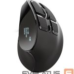 Kompiuterio pelė Trust  MOUSE USB OPTICAL ERGONOMIC/VOXX 23731 