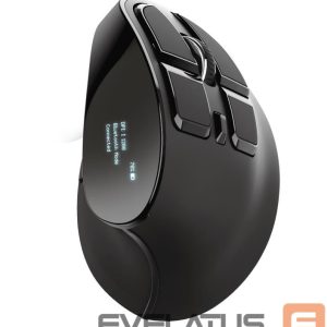 Kompiuterio pelė Trust  MOUSE USB OPTICAL ERGONOMIC/VOXX 23731 