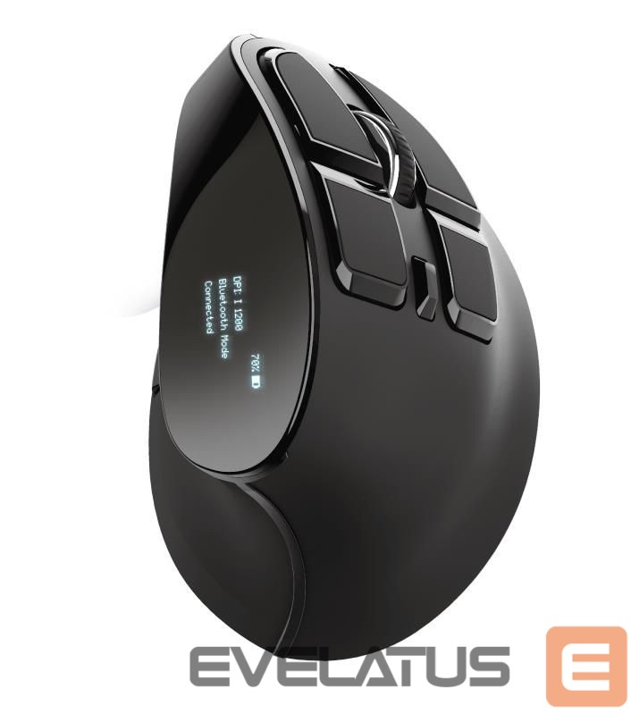 Kompiuterio pelė Trust MOUSE USB OPTICAL ERGONOMIC/VOXX 23731