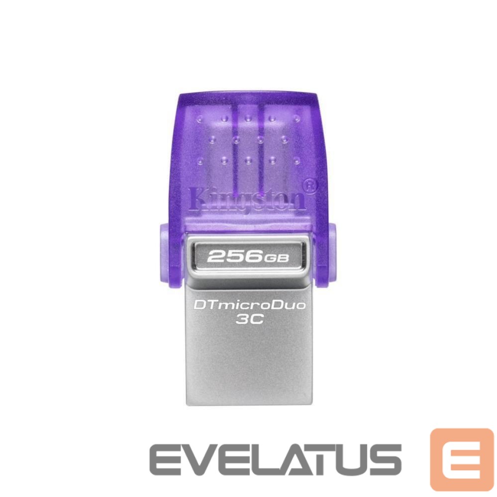 USB atmintinė Kingston MEMORY DRIVE FLASH USB3.2/256GB DTDUO3CG3/256GB