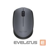 Kompiuterio pelė Logitech  MOUSE USB OPTICAL WRL M170/GREY 910-004642 