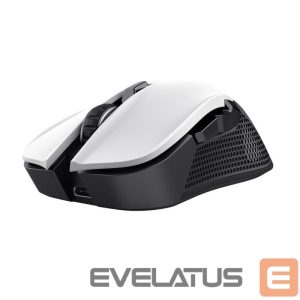 Kompiuterio pelė Trust  MOUSE USB OPTICAL WRL YBAR/GTX923W 24889 