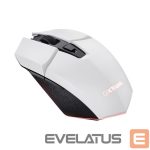 Kompiuterio pelė Trust  MOUSE USB OPTICAL WRL WHITE/GXT110W FELOX 25069 