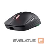 Kompiuterio pelė Trust  MOUSE USB OPTICAL WRL GXT926/REDEX II 25126 