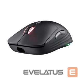 Kompiuterio pelė Trust  MOUSE USB OPTICAL WRL GXT926/REDEX II 25126 
