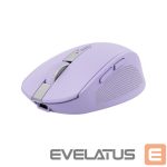 Kompiuterio pelė Trust  MOUSE USB OPTICAL WRL OZAA/PURPLE 25384 