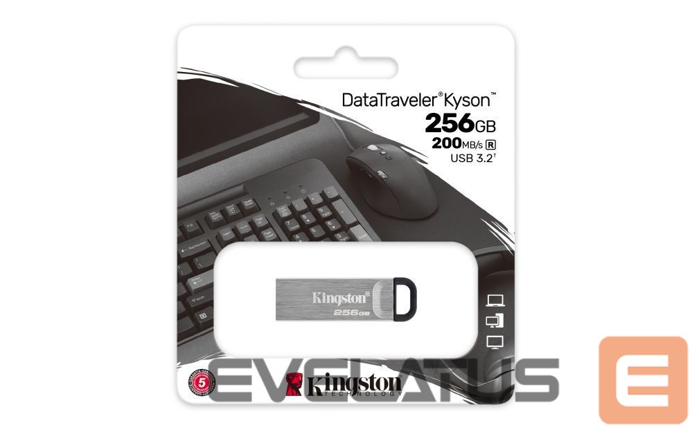 USB atmintinė Kingston USB Flash Drive DataTraveler Kyson 256 GB, Type-A USB 3.2 Gen 1, Silver