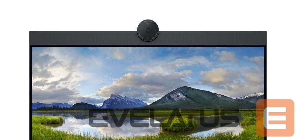 Monitoriai Dell LCD P2424HEB 24" IPS FHD/1920x1080/DP,HDMI,USB-C,USB,RJ45/Black,silver