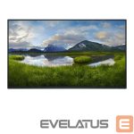 Monitoriai Dell  | Monitor Without Stand | P2425HE | 24 " | IPS | 1920 x 1080 pixels | 16:9 | 8 ms | 250 cd/m² | Black | HDMI ports quantity 1 | 100 Hz 