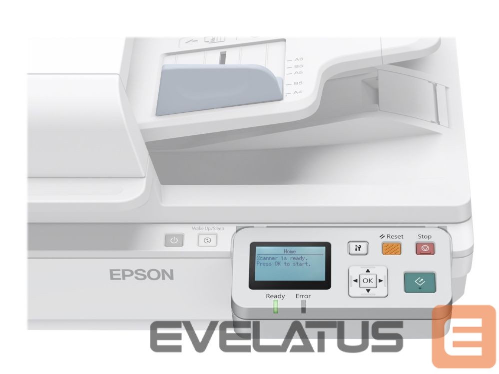 Kabelis EPSON Network Interface Panel