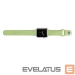 Dirželis Snaige Apple Silicone Strap For Apple Watch 42mm Green