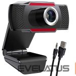 Internetinė kamera Tracer  HD WEB008 web camera 