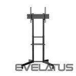 Televizoriaus laikiklis Digitus  TV Cart with Shelf DA-90447	, 37-70 