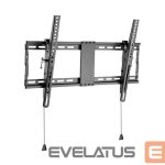 Televizoriaus laikiklis Gembird  TV wall mount  	WM-80T-01 37-80 ", Maximum weight (capacity) 70 kg, Black 