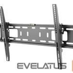 Televizoriaus laikiklis Reflecta  PLANO Flat 70-6040T 37-70inch 