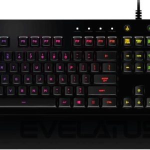Kompiuterio klaviatūra Logitech  KEYBOARD G213 GAMING ENG/920-008093 
