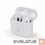Laidinės ausinės Gembird  HEADSET BLUETOOTH VALLETTA/WHITE TWS-MLA-GW 