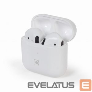 Laidinės ausinės Gembird  HEADSET BLUETOOTH VALLETTA/WHITE TWS-MLA-GW 