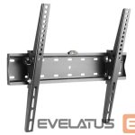Televizoriai ir jų priedai Gembird  TV SET ACC WALL MOUNT 32-55"/WM-55T-02 