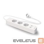 Išmanusis įrenginys TP-Link  SMART HOME WIFI SMART PLUG/TAPO P300 
