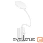 Stalinė lempa Hoco  HX10 Clip table lamp White