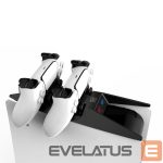 Valdiklis Saitake  Dual charging station Dock for Sony Play Station 5 PS5 Controllers console shape Black White