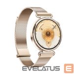 Išmanusis laikrodis Huawei  Watch GT6 41mm Gold Stainless Steel Case with Gold Milanese Strap Gold