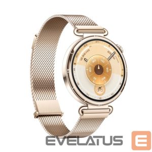 Išmanusis laikrodis Huawei  Watch GT6 41mm Gold Stainless Steel Case with Gold Milanese Strap Gold