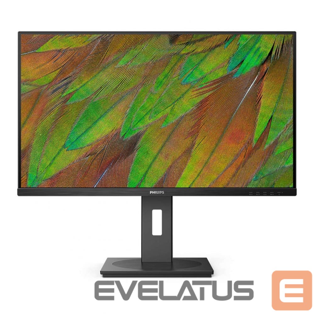 Monitoriai Mmd-monitors & displays PHILIPS 32B1U3900/00 Monitor 31.5i UHD